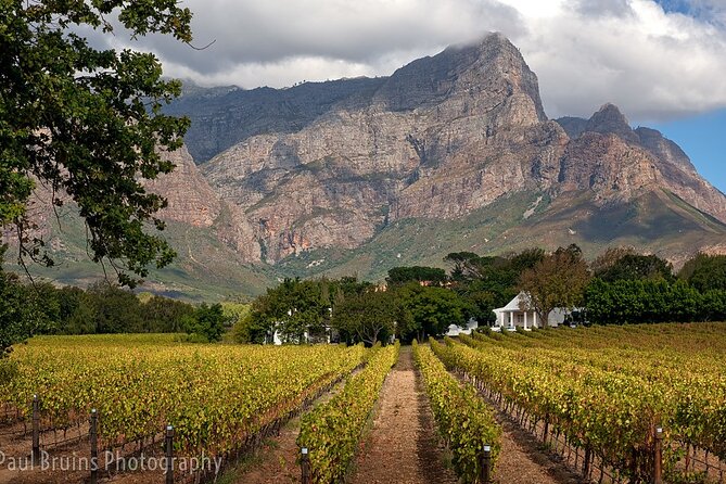Franschhoek Wine Tram Hop-On Hop-Off Tour from Cape Town. - Leaving Cape Town for the Franschhoek valley