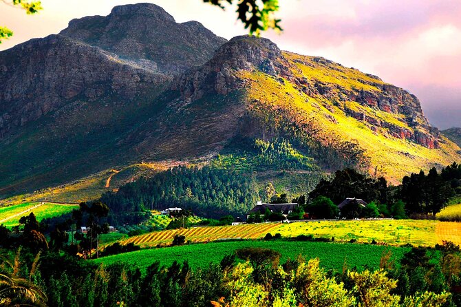 Franschhoek Wine Tram Hop-On Hop-Off Tour from Cape Town. - Booking, weather, and cancellation details