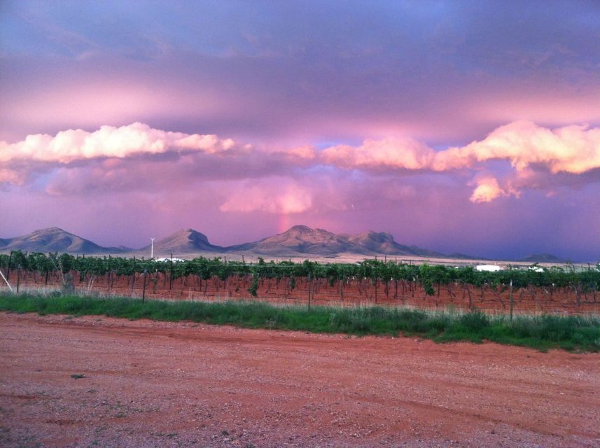 Friday: Tombstone & Bisbee; 9h Tour bus from Tucson - Choosing your Tombstone afternoon