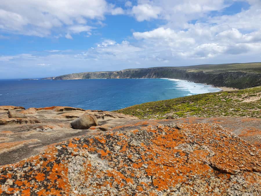 From Adelaide: Premium 2-Day Kangaroo Island Minibus Tour - Flinders Chase and the western coast