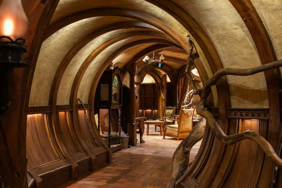 From Auckland: Waitomo & Hobbiton Bus Tour with Lunch - Key points to know before booking