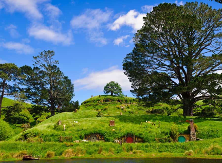 From Auckland: Waitomo & Hobbiton Bus Tour with Lunch - Why this Auckland day trip works