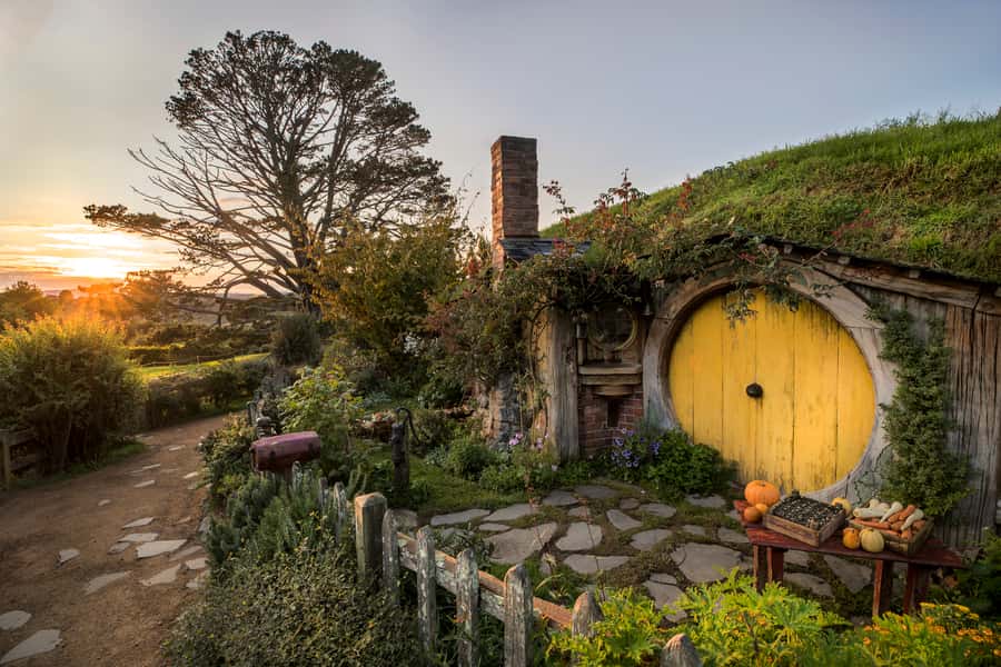 From Auckland: Waitomo & Hobbiton Bus Tour with Lunch - Waitomo Glowworm Caves: a quiet world below ground