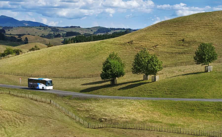 From Auckland: Waitomo & Hobbiton Bus Tour with Lunch - Lunch between the two attractions