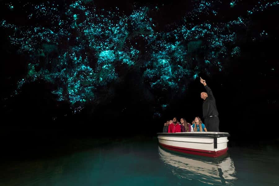 From Auckland: Waitomo & Hobbiton Bus Tour with Lunch - Who should book this tour?