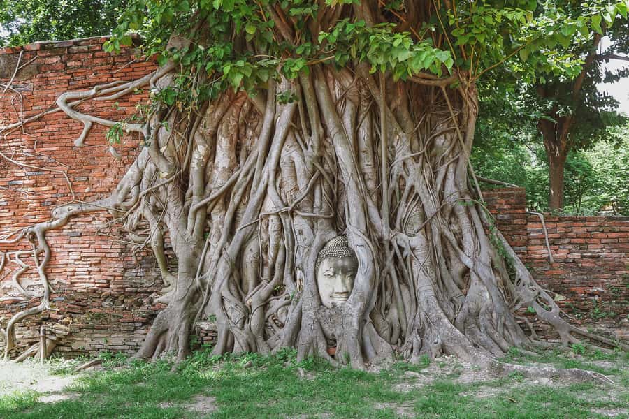 From Bangkok: Ayutthaya Day Tour by Bus with River Cruise - Key points to know before booking