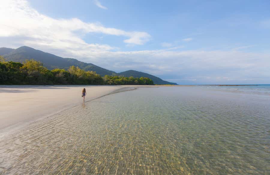 From Cairns: Daintree Wilderness & Cape Tribulation Bus Tour - Why this long day works