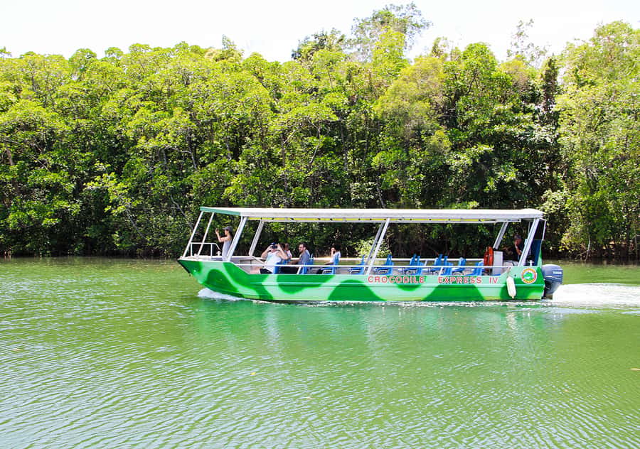 From Cairns: Daintree Wilderness & Cape Tribulation Bus Tour - Crossing the Daintree by cable ferry