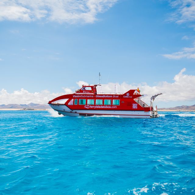 From Caleta de Fuste: Return Bus and Ferry to Lobos Island - Key points to know before booking