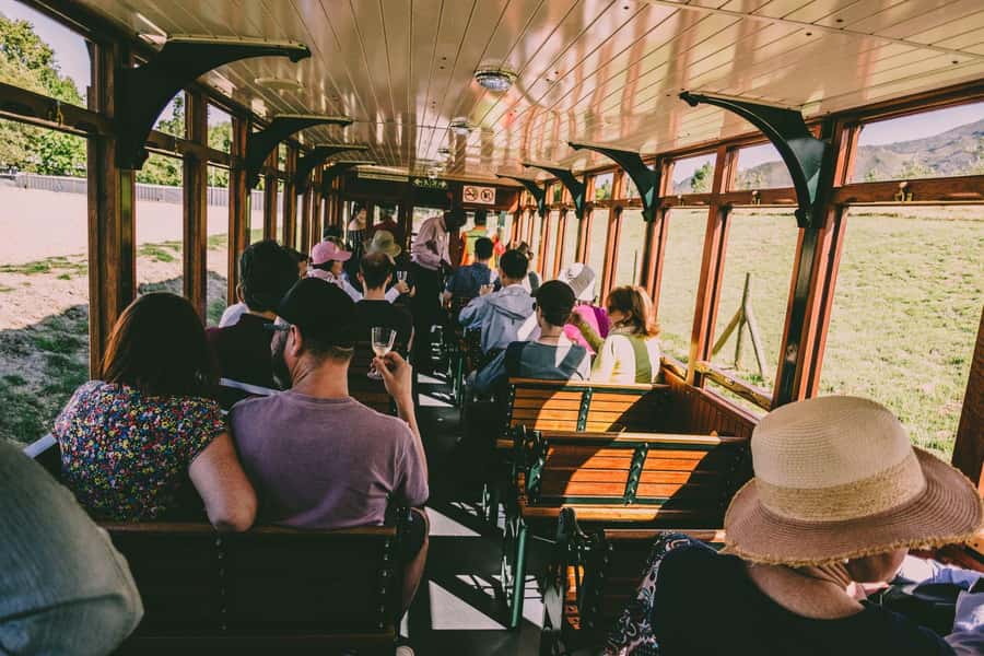 From Cape Town: Franschhoek Wine Tram Hop-on Hop-off - Who will enjoy this day most