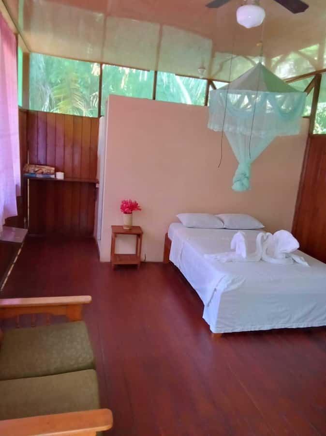 From Cusco: Amazon jungle for two days with sleeper bus and private lodge - Communication is the main risk