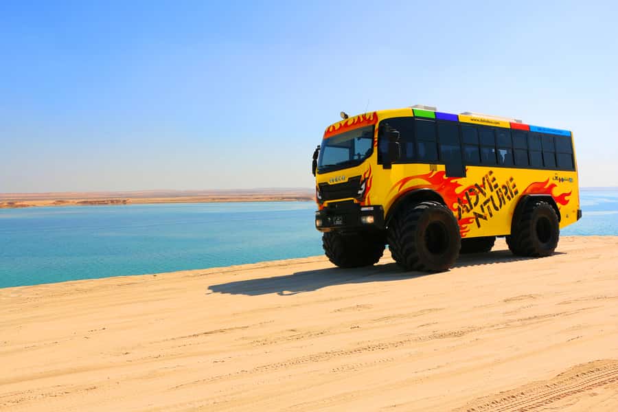 From Doha: Exclusive Monster Bus Safari Experience - Key Points At A Glance