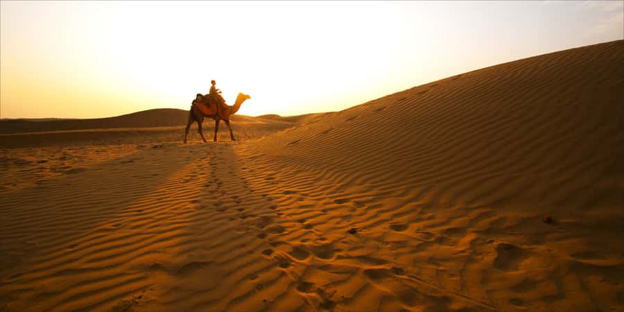 From Doha: Exclusive Monster Bus Safari Experience - Why The Monster Bus Is The Main Event