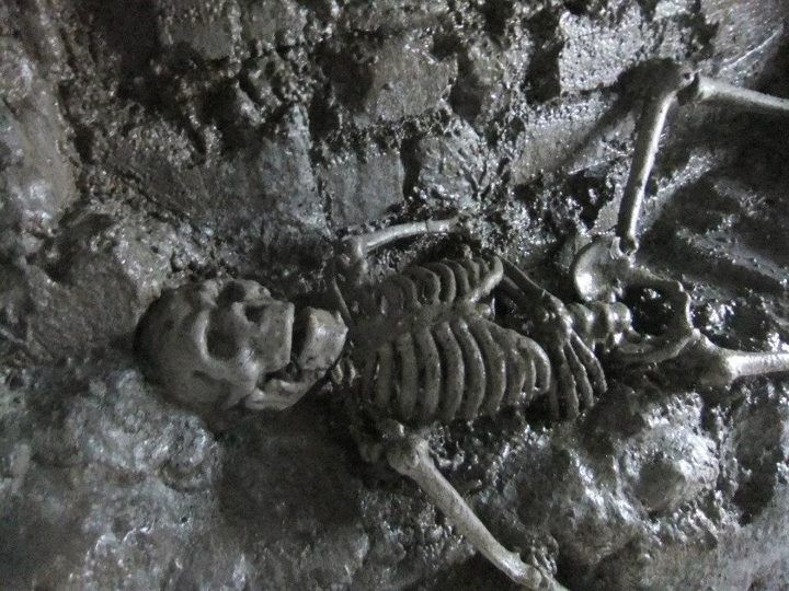 From Dublin: Gravedigger Ghost Bus Tour - How funny and scary is the tour?