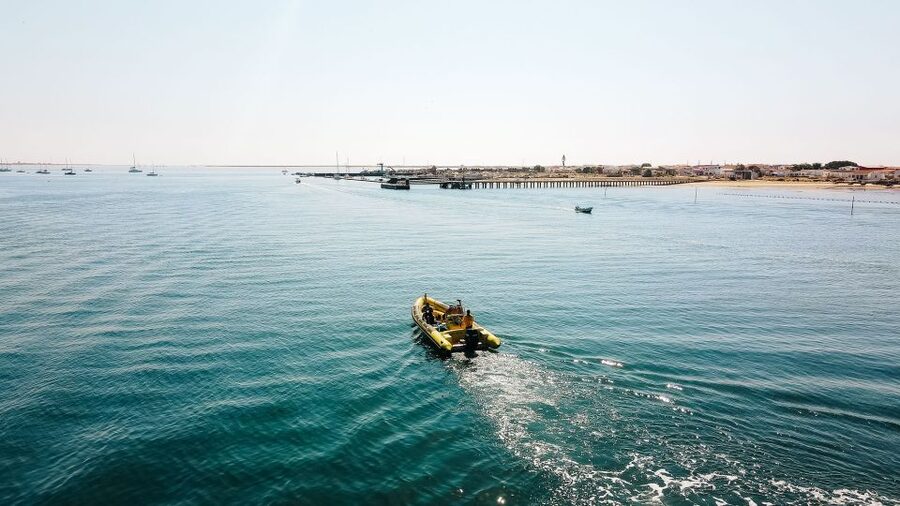 From Faro: Ria Formosa Hop-On Hop-Off 3 Islands Cruise - Three Islands, Three Different Ways to See the Ria Formosa