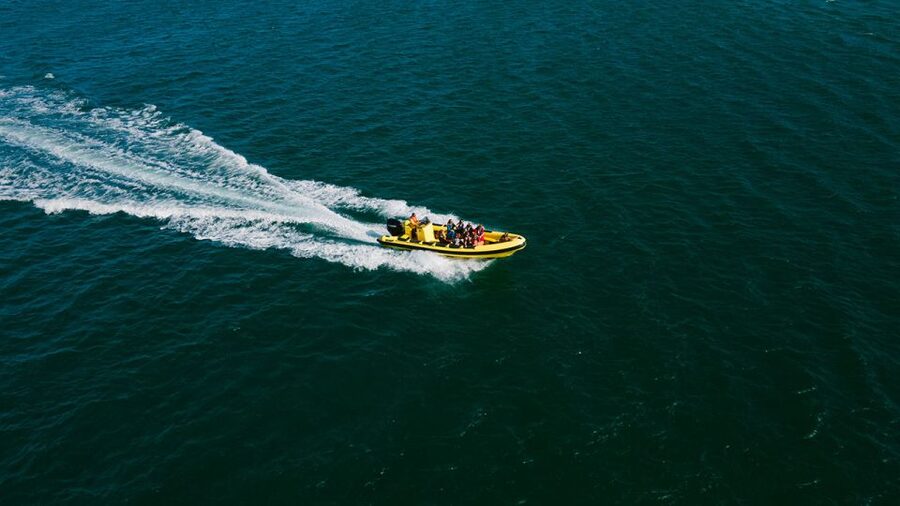 From Faro: Ria Formosa Hop-On Hop-Off 3 Islands Cruise - Desert Island: Quiet Sand and Open Space