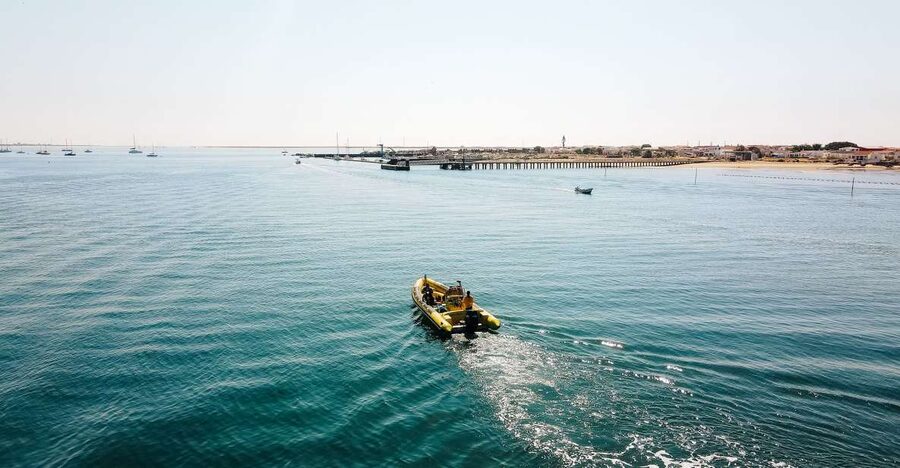 From Faro: Ria Formosa Hop-On Hop-Off 3 Islands Cruise - Farol Island: Lighthouse Views and a Beach Bar Break