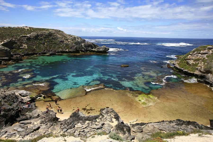 From Fremantle: Rottnest Island Ferry & Bus Day Tour - Key points to know before you book