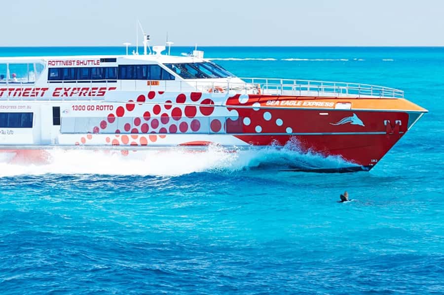 From Fremantle: Rottnest Island Ferry & Bus Day Tour - Why this Fremantle day trip works so well
