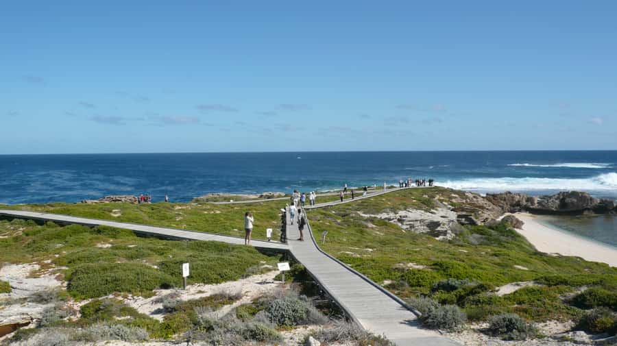 From Fremantle: Rottnest Island Ferry & Bus Day Tour - The 90-minute bus circuit around Wadjemup