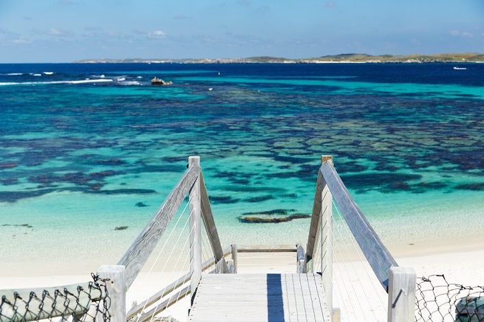 From Fremantle: Rottnest Island Ferry & Bus Day Tour - Finding quokkas without wasting your free time