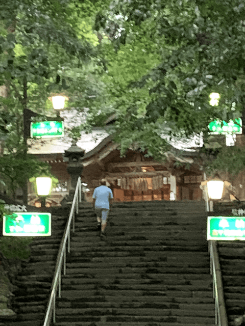 From Fukuoka: Mythical "Takachiho" Day Trip by PRIVATE Bus - Key points to know before booking