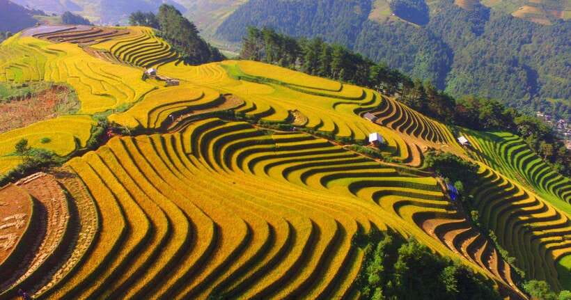 From Hanoi: 1-day Sapa Trekking Tour With Overnight Bus - Lunch and a pause in Ta Van