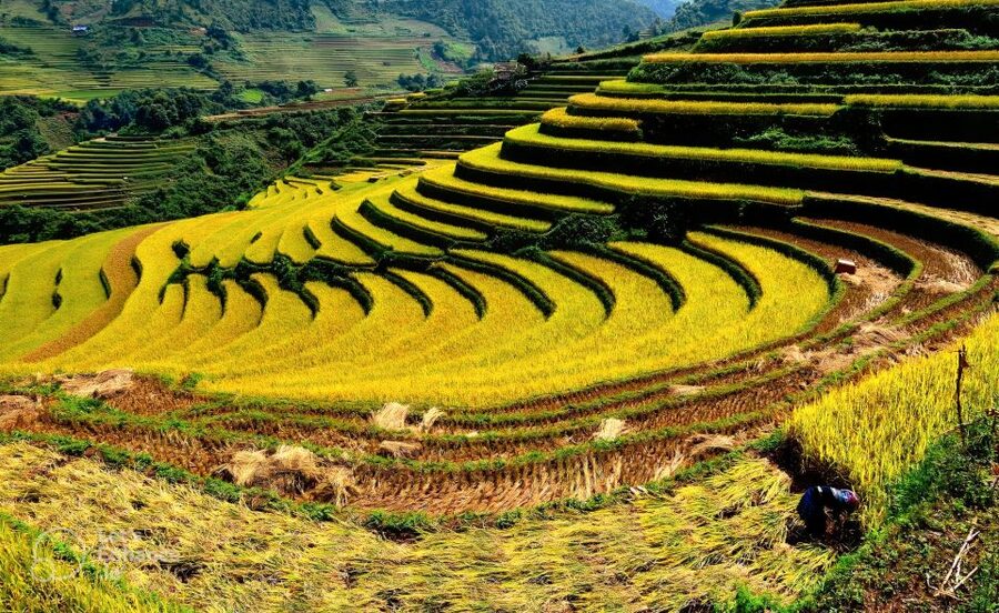 From Hanoi: 2-Day Sapa-Fansipan Peak & Trek & Ha Giang Bus - Fansipan cable car and the final 600 steps
