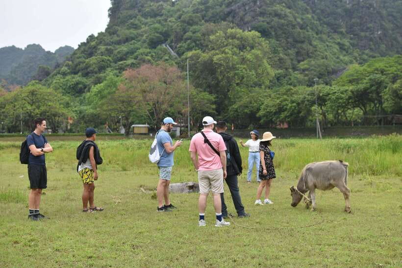 From Hanoi: Ninh Binh, Hoa Lu, Tam Coc, & Mua Cave Day-Trip - Mua Cave and the nearly 500-step climb
