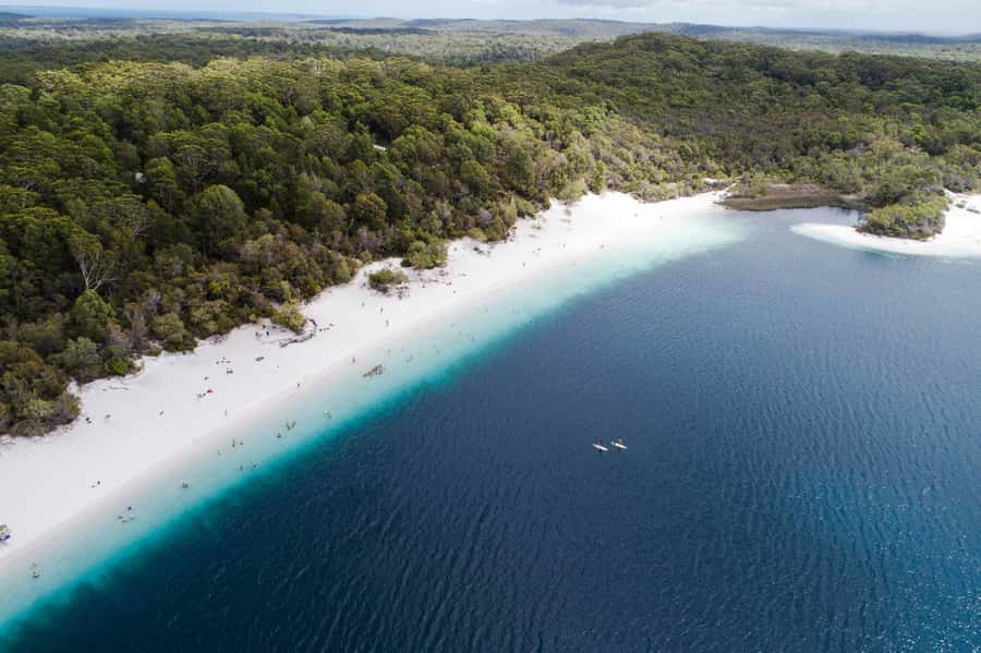 From Hervey Bay: K'gari, Fraser Island Full-Day Coach Tour - Why this K’gari day trip works