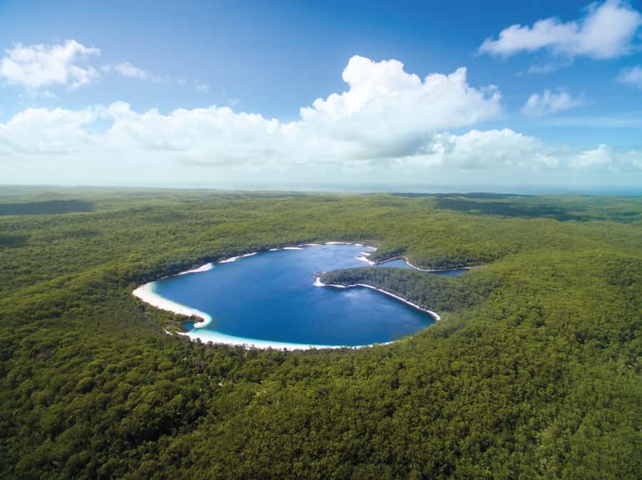From Hervey Bay: K'gari, Fraser Island Full-Day Coach Tour - Lake McKenzie, the day’s main reward