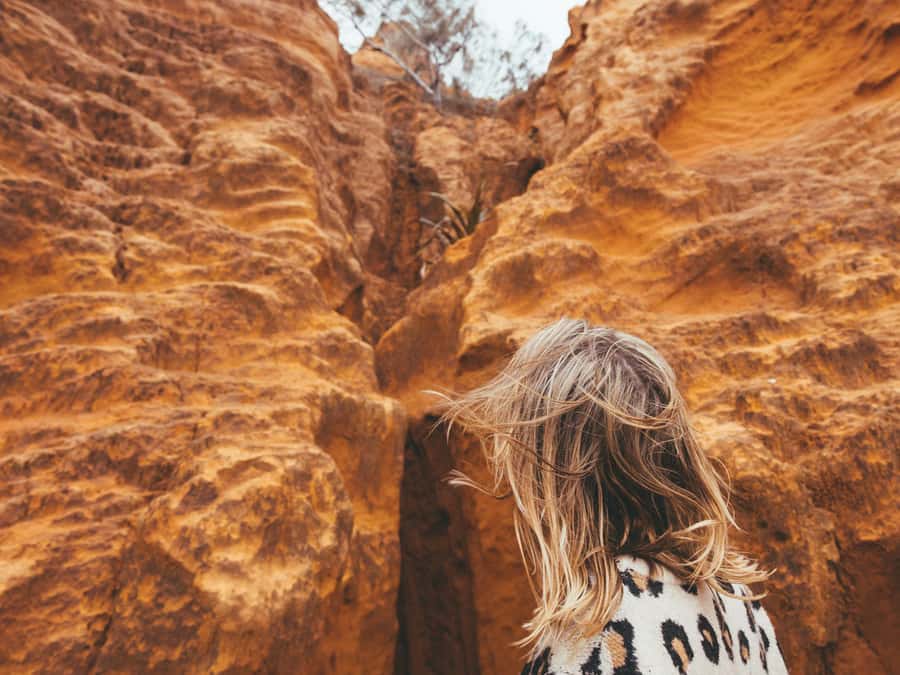 From Hervey Bay: K'gari, Fraser Island Full-Day Coach Tour - The guide can shape the whole day