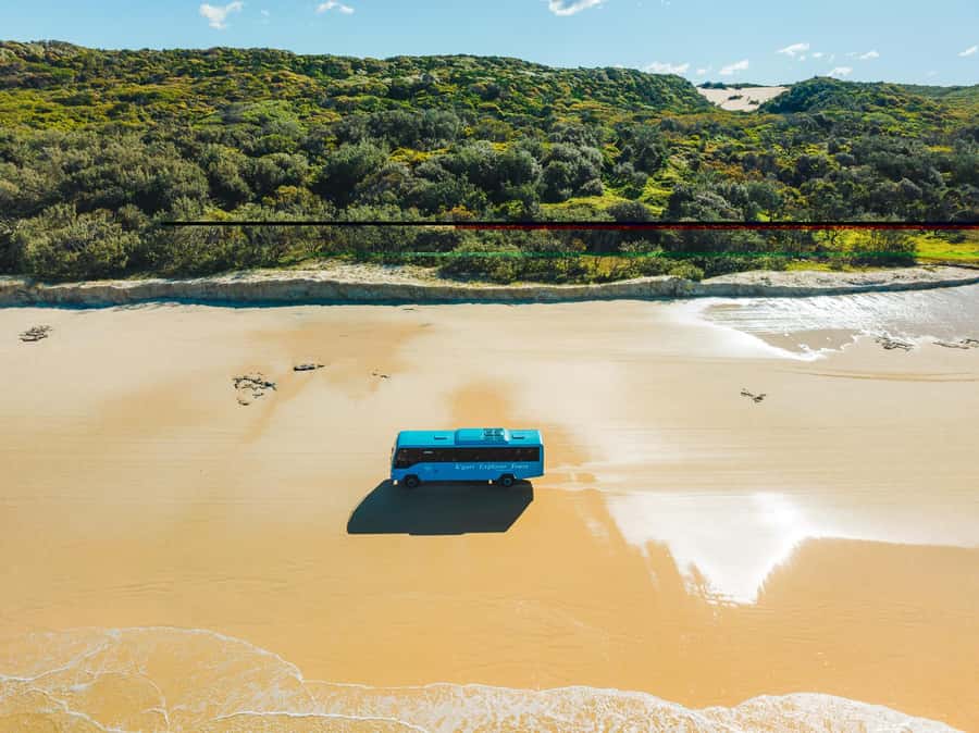 From Hervey Bay: K'gari, Fraser Island Full-Day Coach Tour - What the day feels like in practice