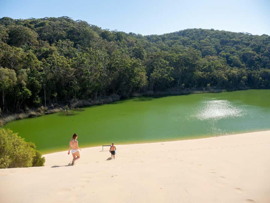From Hervey Bay: K'gari, Fraser Island Two-Day Coach Tour - Key points to know before booking