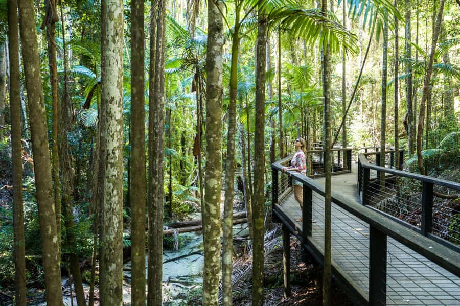 From Hervey Bay: K'gari, Fraser Island Two-Day Coach Tour - Lake McKenzie is the classic swimming stop