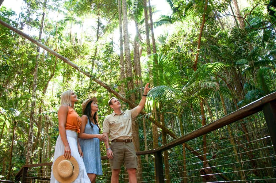 From Hervey Bay: K'gari Getaway Three-day 4WD Coach Tour - Why a 4WD coach makes sense on K’gari