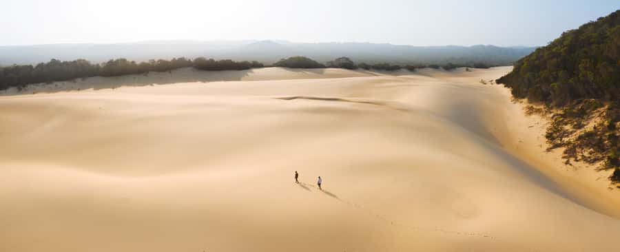 From Hervey Bay: K'gari Getaway Three-day 4WD Coach Tour - Pile Valley and the tall rainforest