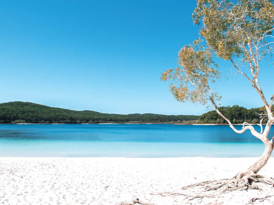 From Hervey Bay: K'gari Getaway Three-day 4WD Coach Tour - Food, packing, and practical comfort