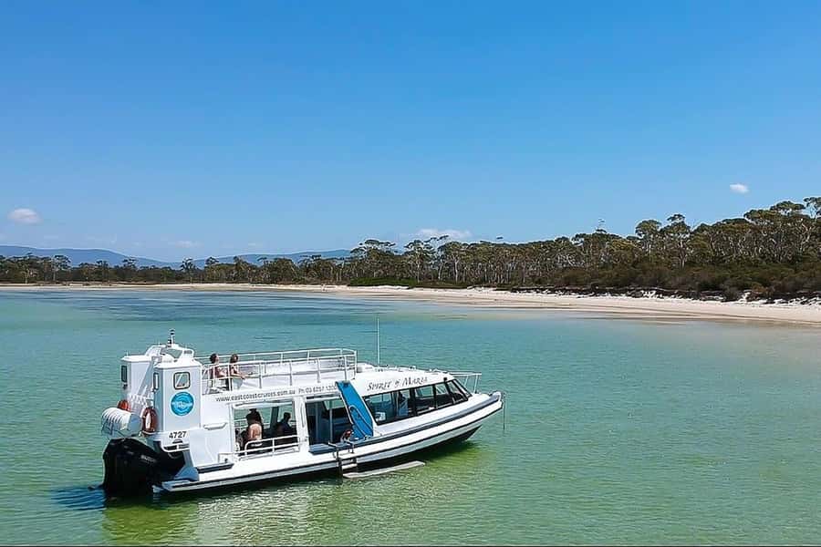 From Hobart: Day Tour to Maria Island with Bus Connection - The Hobart to Triabunna morning run