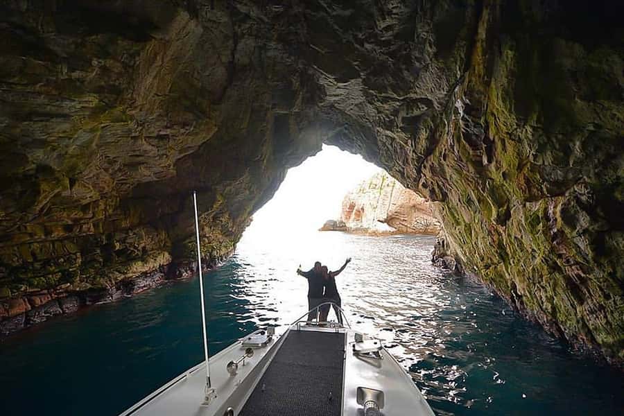 From Hobart: Day Tour to Maria Island with Bus Connection - Wombats near Darlington