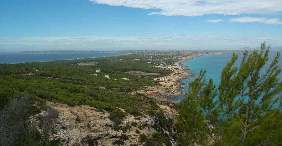 From Ibiza: Ferry and Guided Bus Excursion in Formentera - What this Formentera day trip is really like