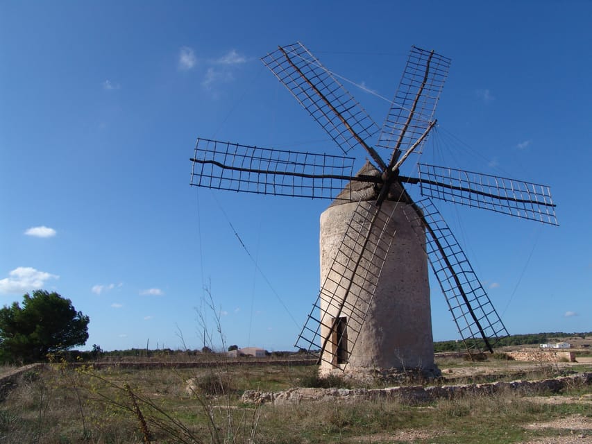 From Ibiza: Ferry and Guided Bus Excursion in Formentera - El Pilar de la Mola and La Mola lighthouse