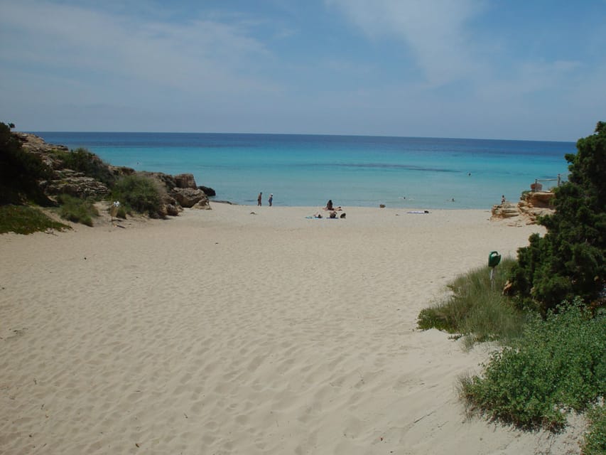 From Ibiza: Ferry and Guided Bus Excursion in Formentera - How the guide and group affect the day