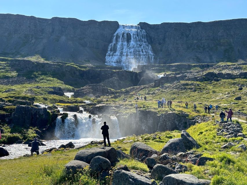 From Isafjordur: Dynjandi Waterfall Guided Day Trip by Bus - Who will enjoy this trip most?