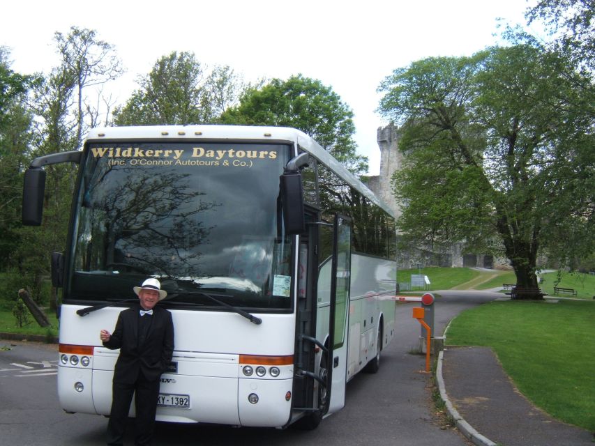 From Killarney: 'Ring of Kerry' Mountain Road 1-Day Bus Tour - Key points at a glance