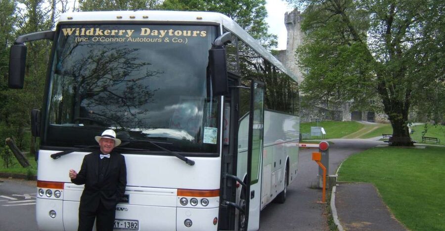 From Killarney: 'Ring of Kerry' Mountain Road 1-Day Bus Tour - Along Dingle Bay and the southern coast