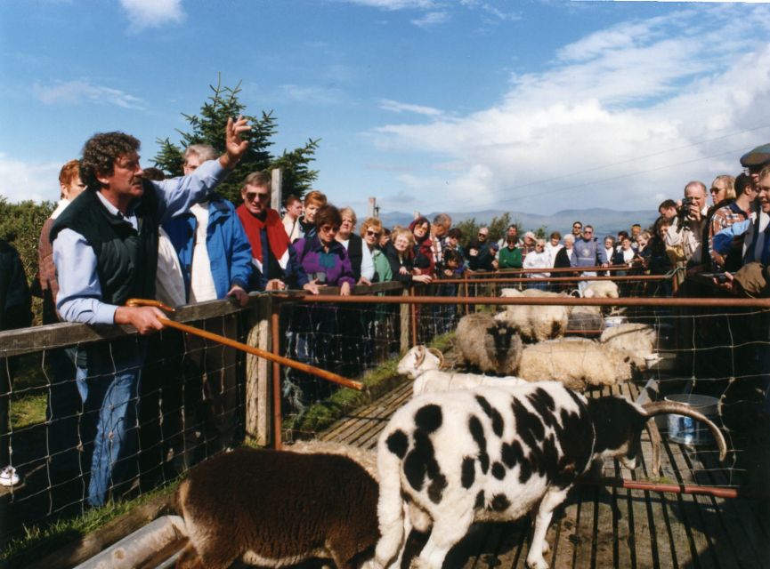 From Killarney: 'Ring of Kerry' Mountain Road 1-Day Bus Tour - Small attractions and extra local character