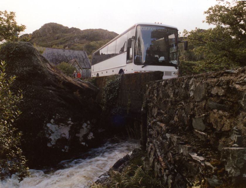 From Killarney: 'Ring of Kerry' Mountain Road 1-Day Bus Tour - The bus, group size, and road conditions