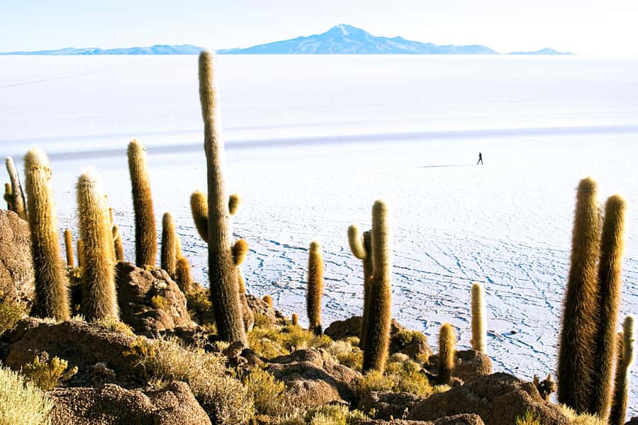 From La Paz: Uyuni Salt Flat Tour & Overnight Roundtrip Bus - Key points to know before booking