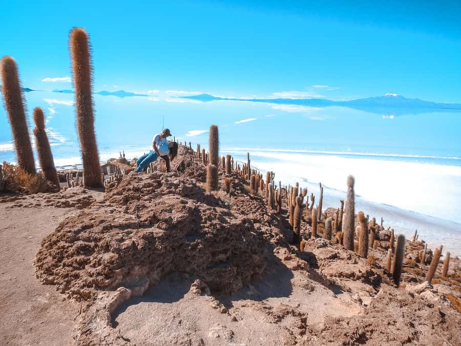 From La Paz: Uyuni Salt Flat Tour & Overnight Roundtrip Bus - Getting back to La Paz